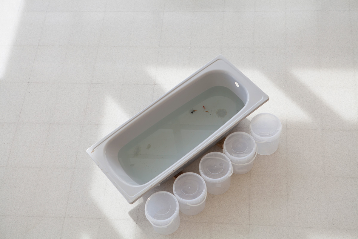 performance luba de alba mozas y luis utrillas