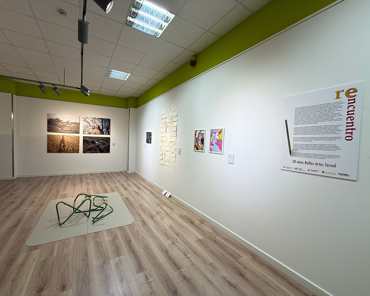 imagen exposición alba mozas 