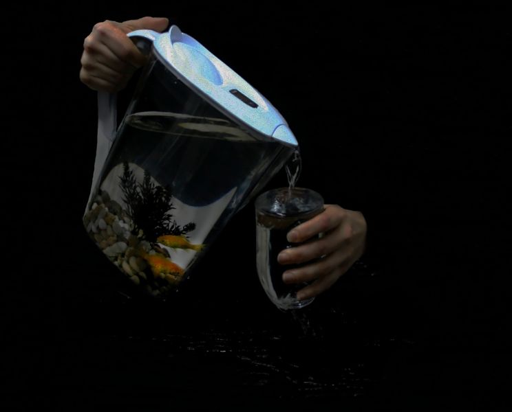 imagen exposición 365