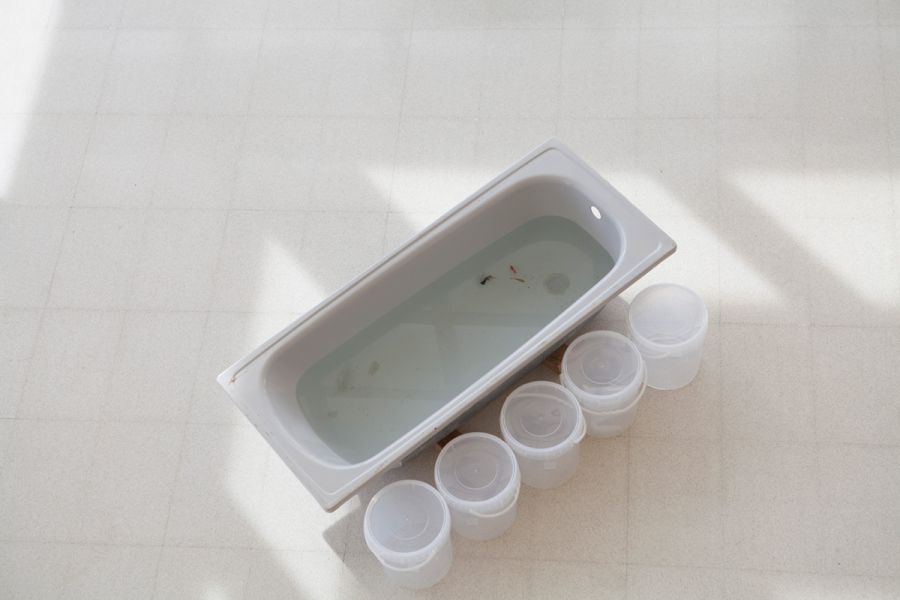 performance luba de alba mozas y luis utrillas