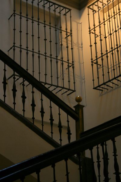 imagen exposición 365