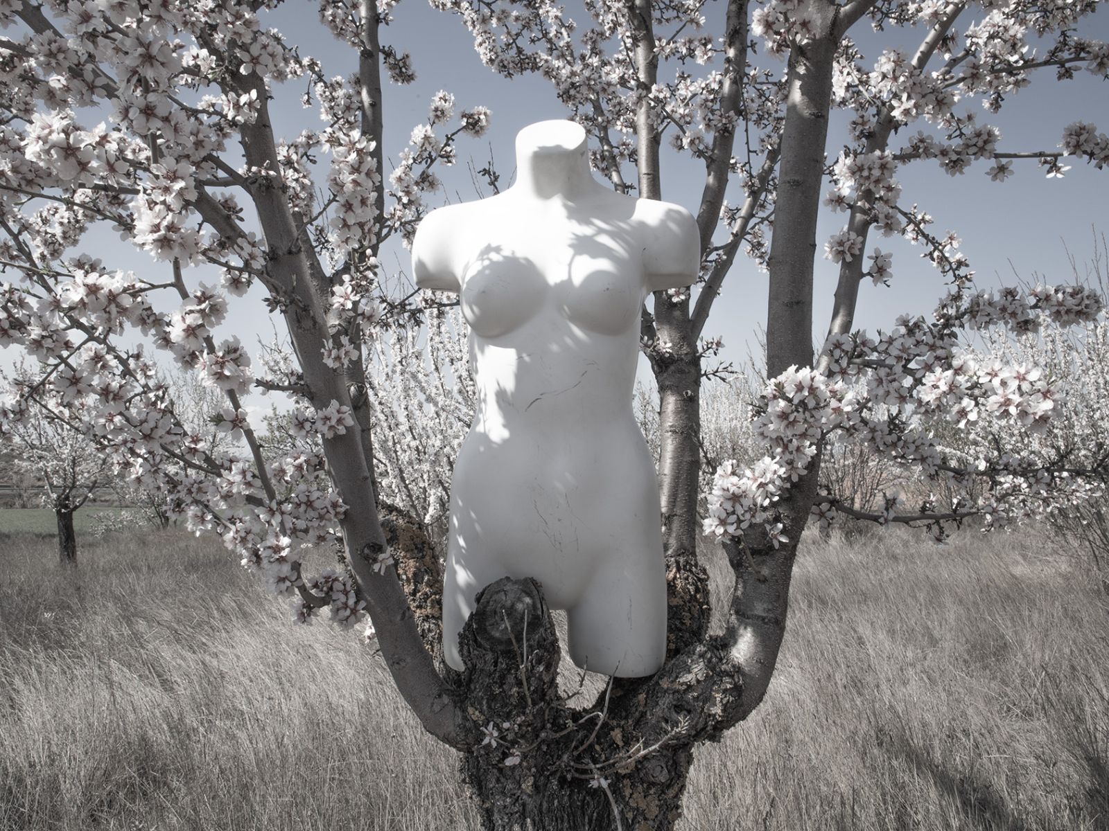 fotografía de la artista alba mozas gómez