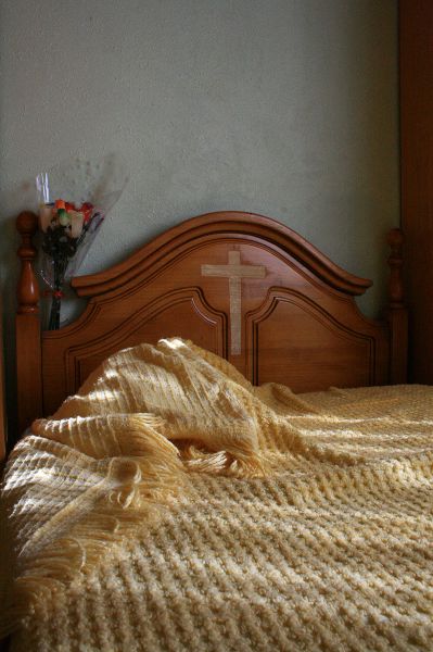 imagen exposición 365