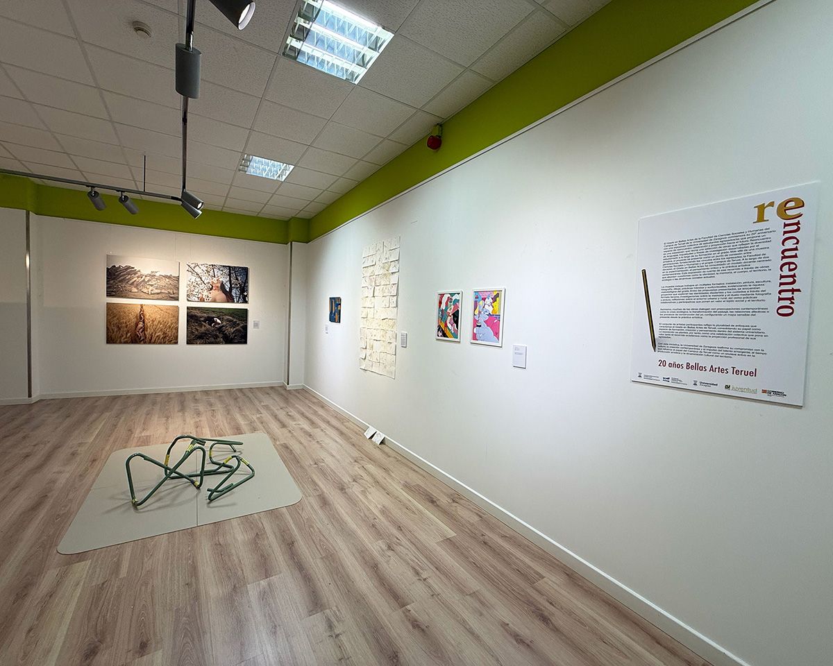 imagen exposición alba mozas 
