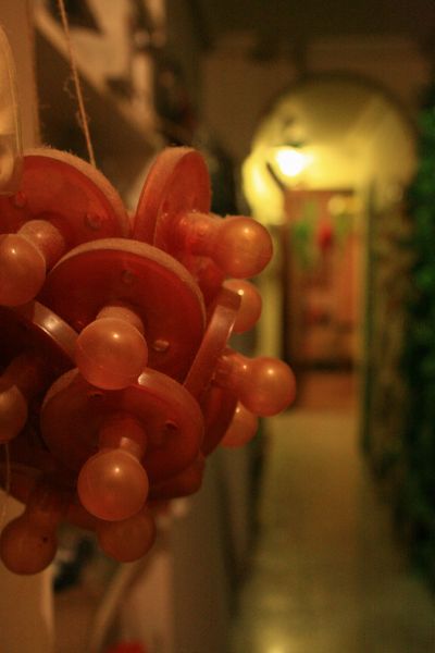 imagen exposición 365